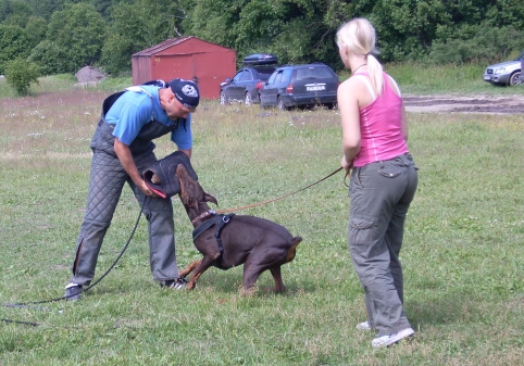 Training in Estonia 6/2007